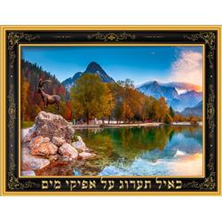22 x 17 in. Laminated Sukkah Poster