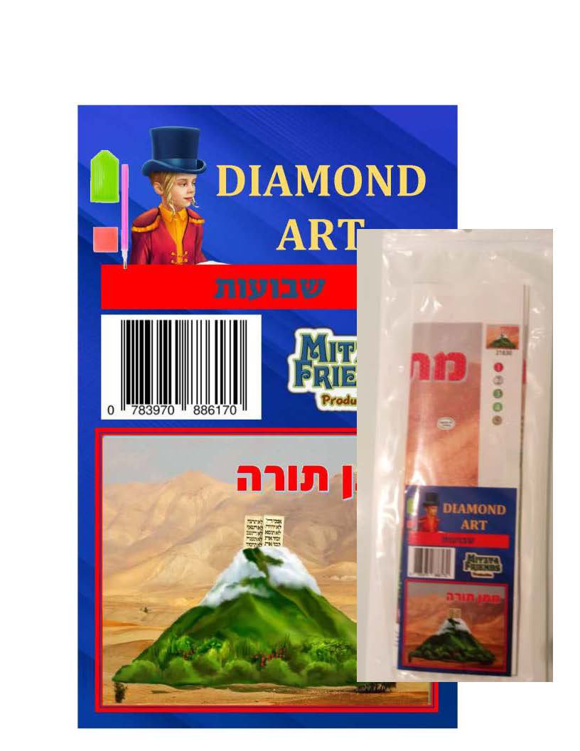 F6170 11 x 13 in. Diamond Art Shoves