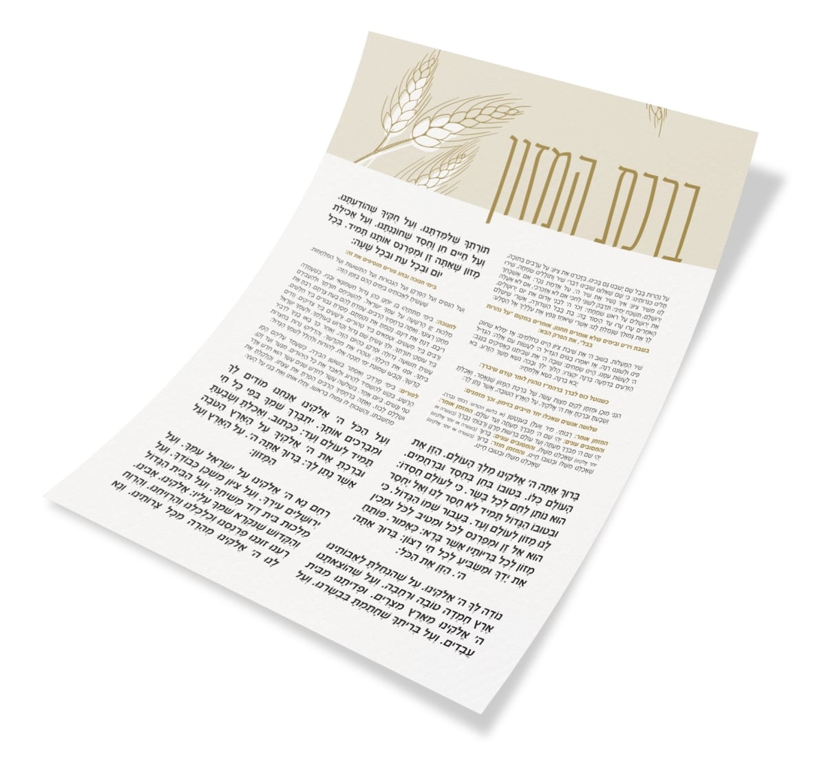 55114 8.5 x 11 in. Laminated 1 Page Bencher
