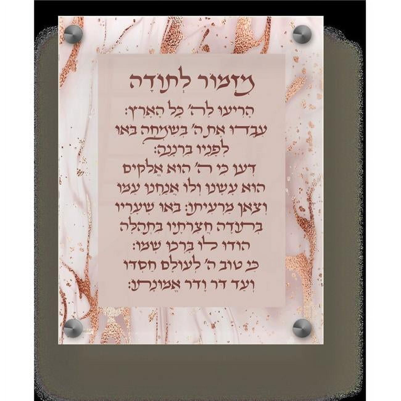 Picture of Schonfeld Collection 182221 9.5 x 11.5 in. Acrylic Mizmor Letoda Wall Frame, Rose Gold