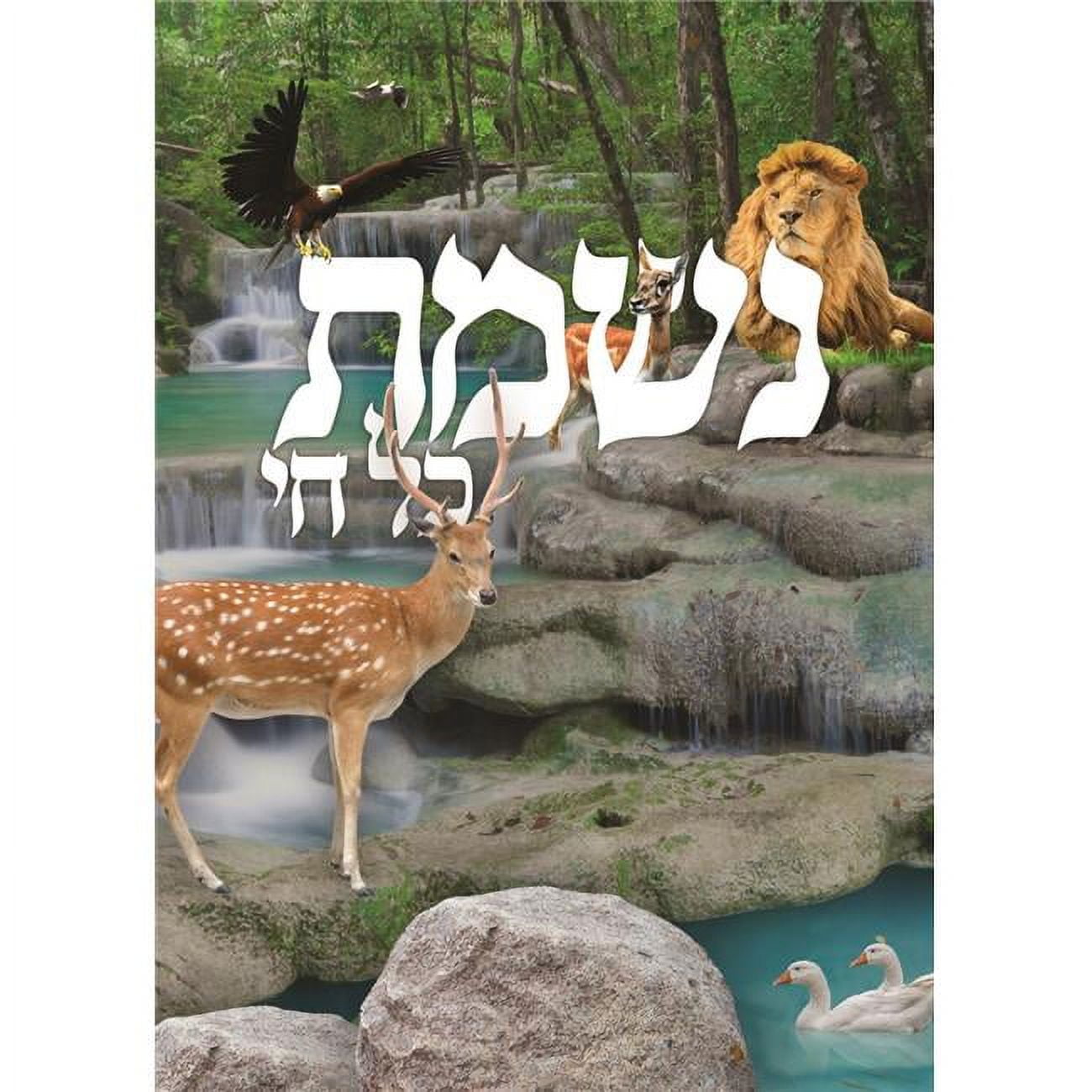 4 x 6 in. 2 Fold Nishmas Kol Chai Card