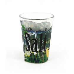 Picture of Americaware SGSLC02 Salt Lake City Full Color Etched  Shot Glass
