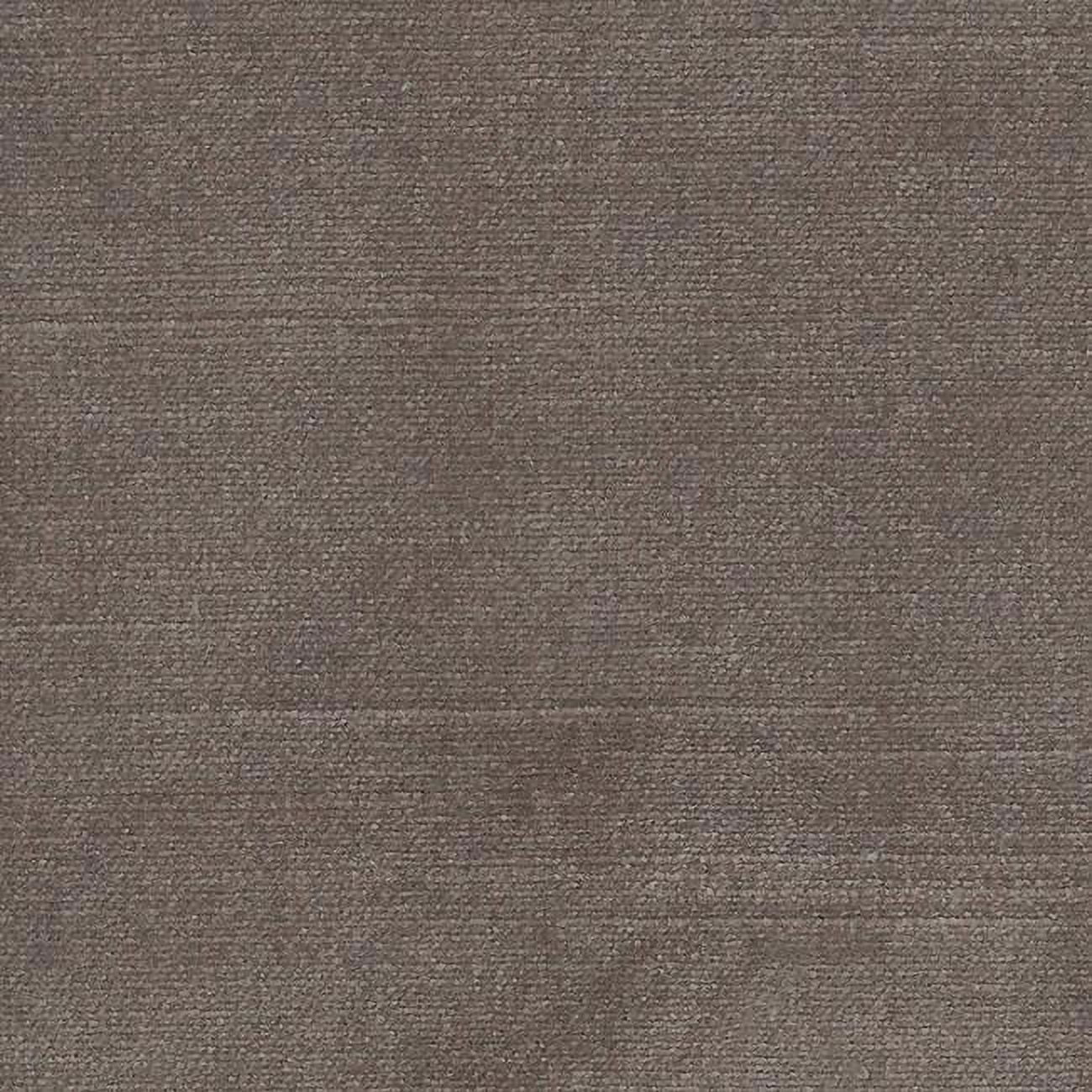 Picture of American Silk 3723 55 in. Brussels Beautifuly Curated Velvet Fabric Cloth, Fawn