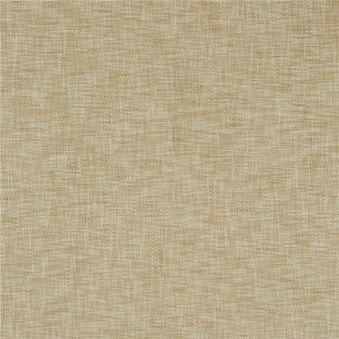 Picture of American Silk 21068 54 in. Graziana Plain & Texture Design Silk Fabric Cloth&#44; Ecru