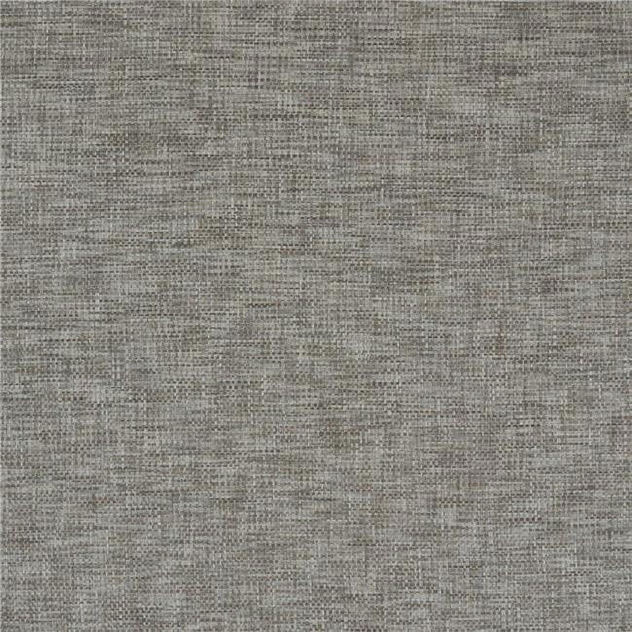 Picture of American Silk 21090 54 in. Graziana Plain & Texture Design Silk Fabric Cloth&#44; Mineral
