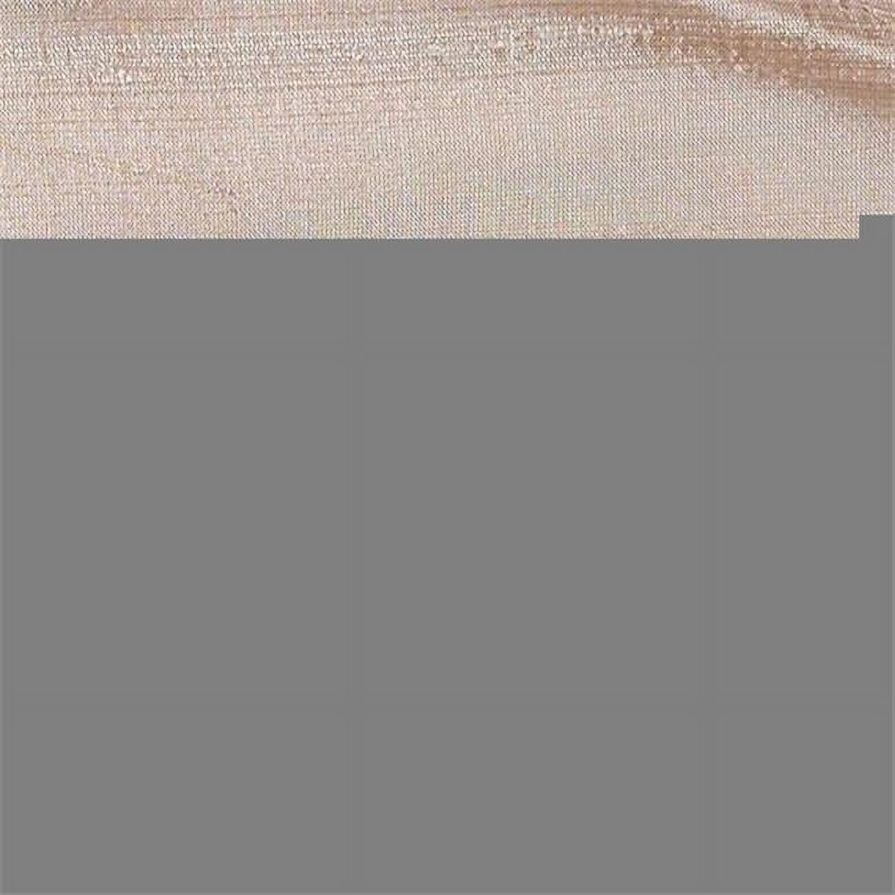 Picture of American Silk 25296 18.6 in. Shadow Play Plain & Texture Design Silk Fabric Cloth&#44; Desert Sand