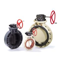 P21V 3 3 in. PVC Viton Liner Butterfly Valve