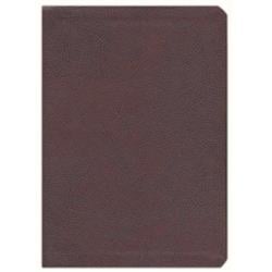 ESV Single Column Journaling Bible - Mocha Bonded Leather - Large Print - Spacious Margins