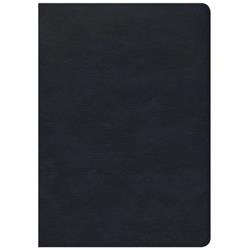 Picture of Anchor Distributors 100165 CSB She Reads Truth Bible-Navy Leathertouch Indexed Book - April 2017