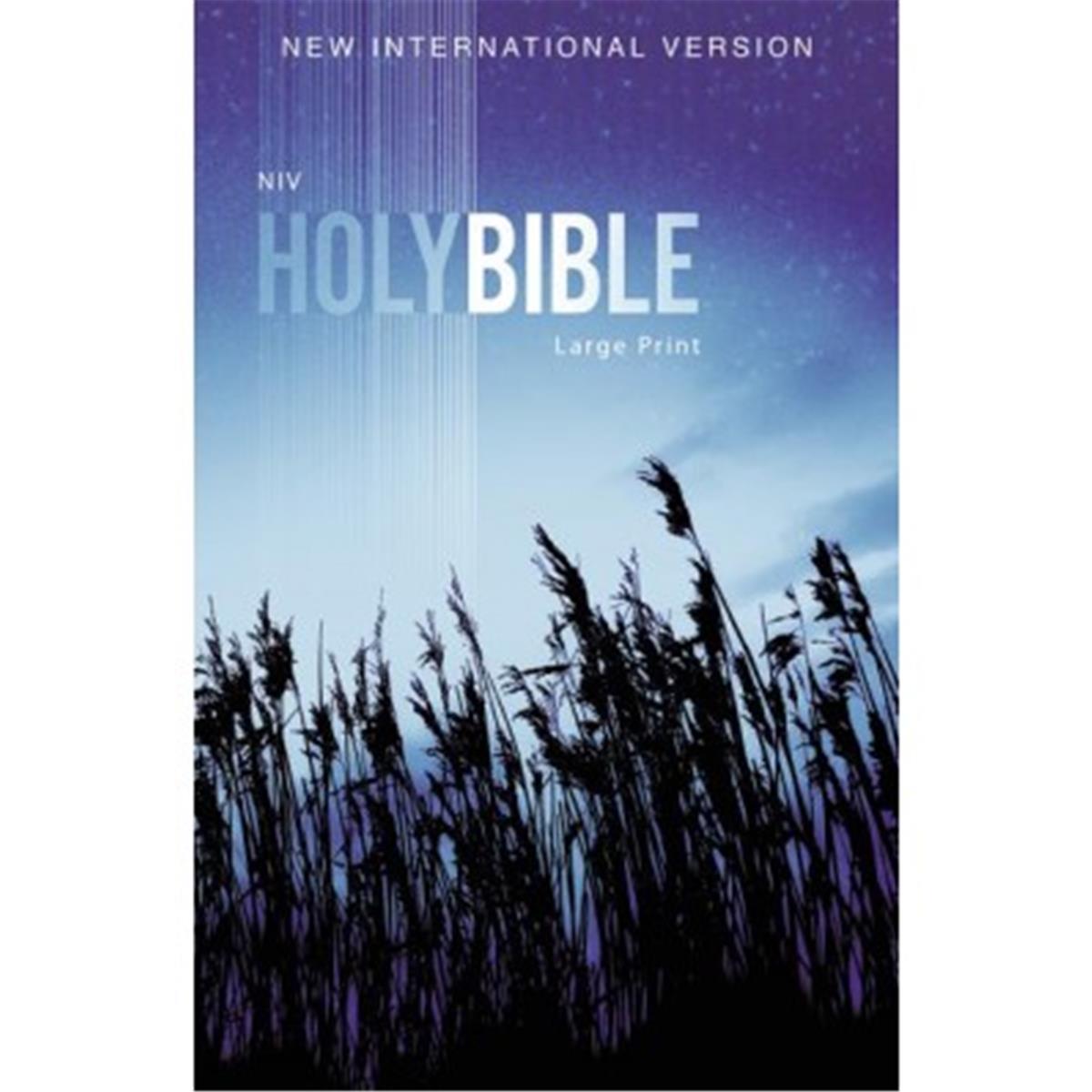 Picture of Zondervan 71885 9.25 x 6.25 x 11.84 in. NIV Outreach Bible Large Print, Blue Wheat Softcover