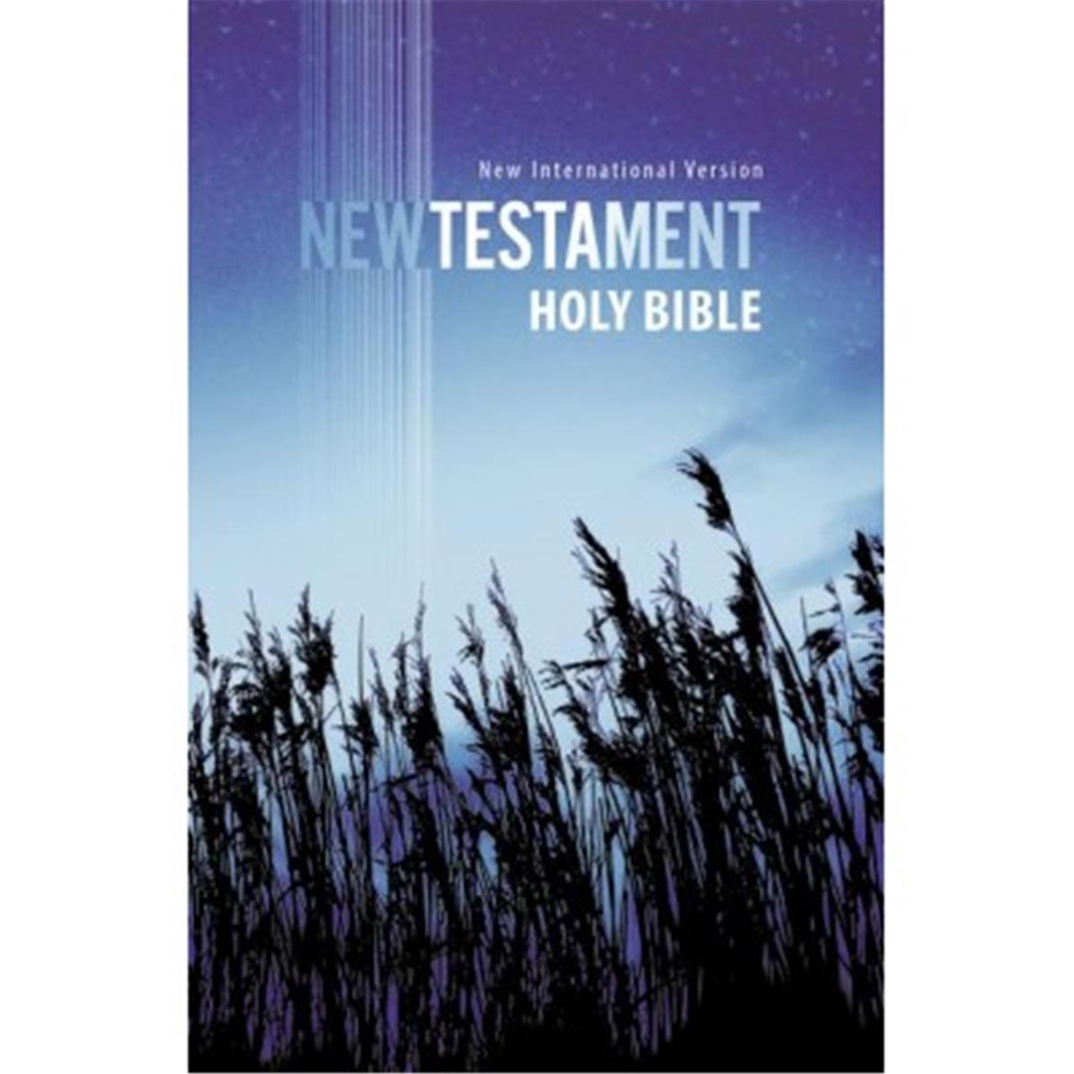 Holy Bible: New International Version, Outreach New Testament