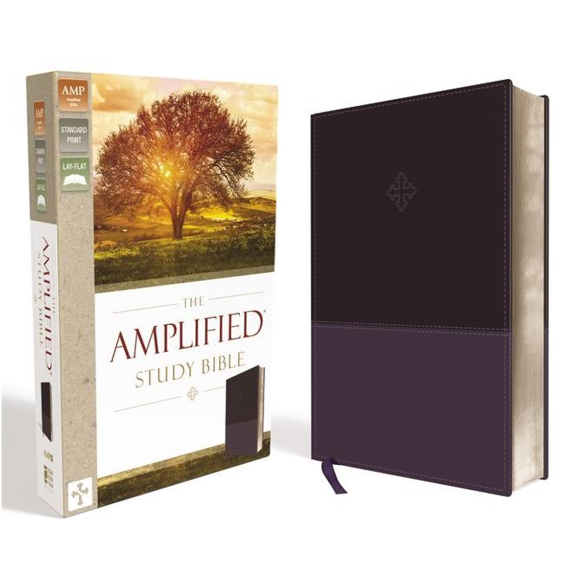 71914 Amplified Leather Soft Study Bible, Purple