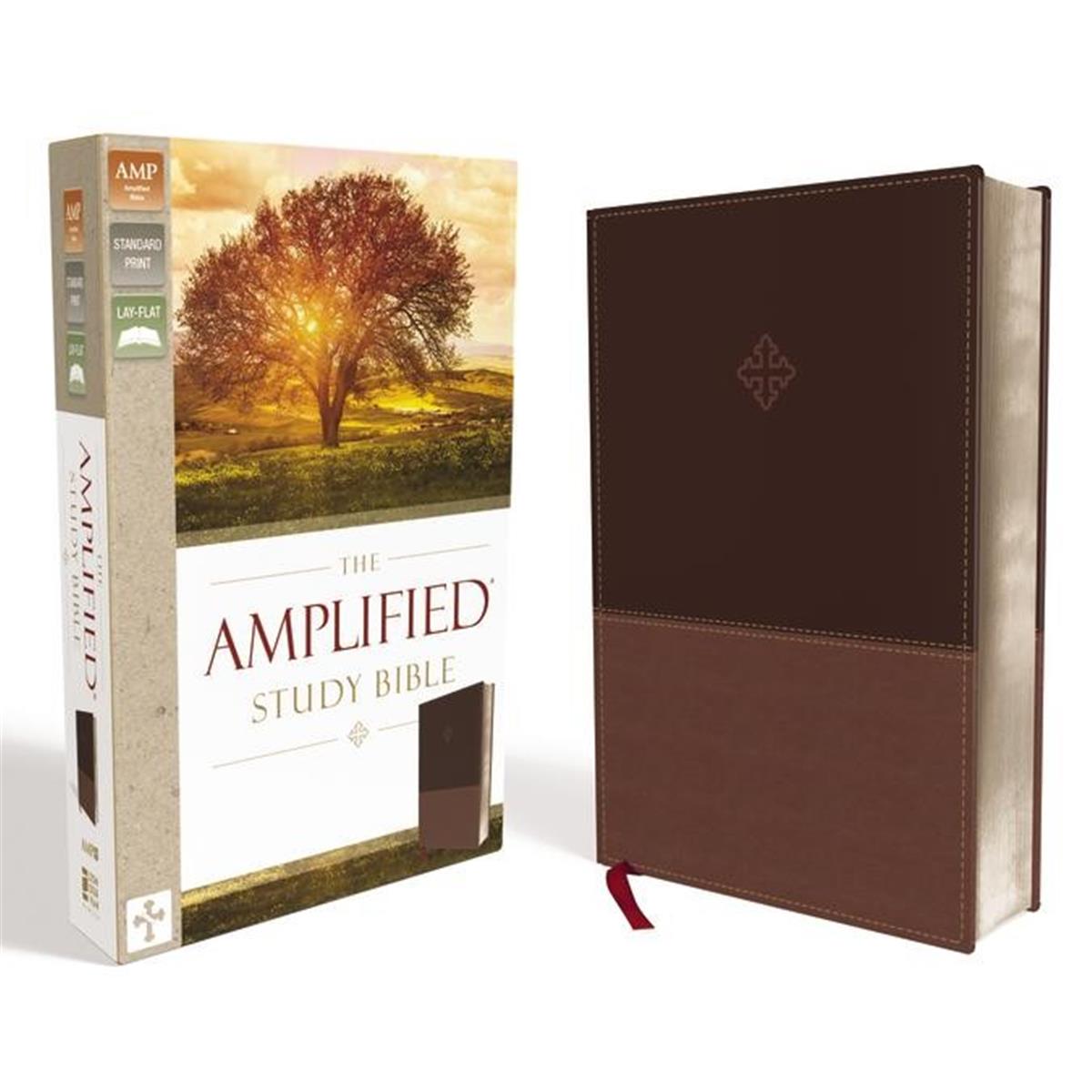 71841 Amplified Leather Soft Study Bible, Brown