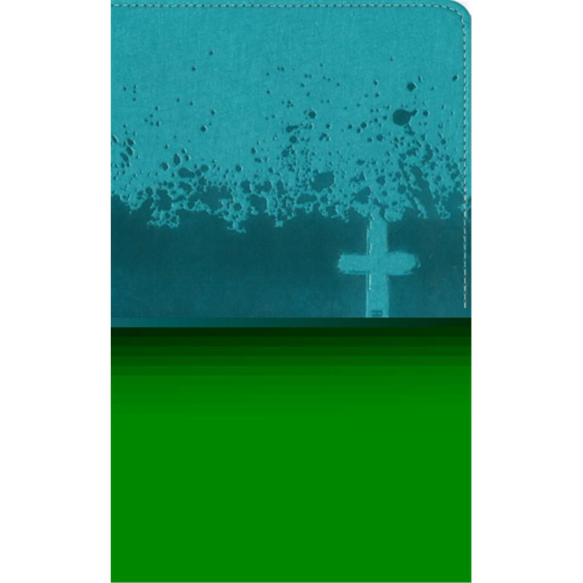 17733X NIV Kids Leather Soft Visual Study Bible, Teal