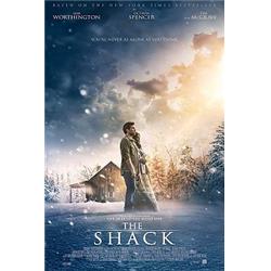 Picture of Lions Gate 188069 The Shack DVD