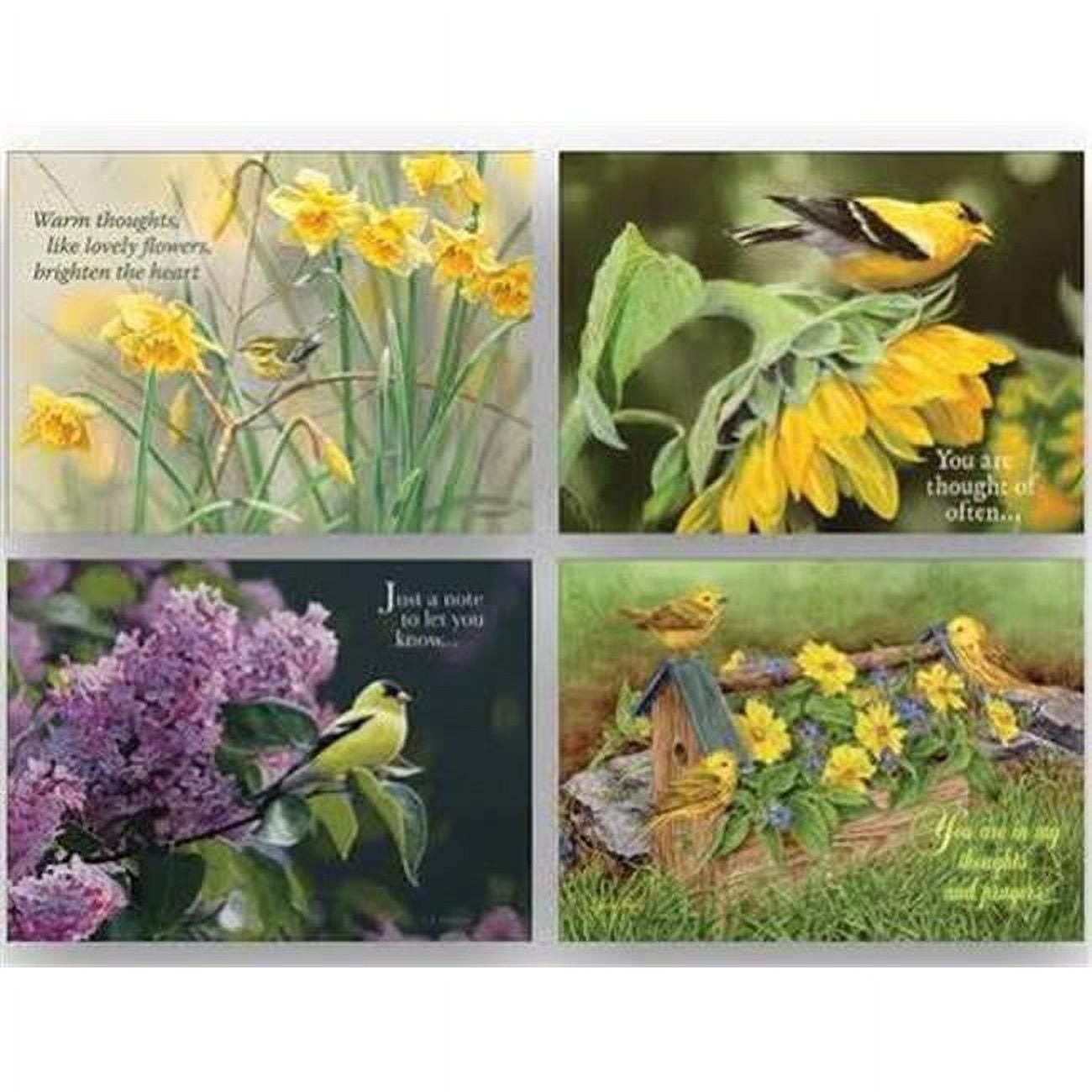 Crown Point Graphics 173254 2-Birds Shared Blessings-Thinking of You Cards, Box of 12