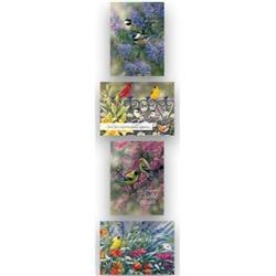 Get Well 3-Birds Shared Blessings Cards, Box of 12
