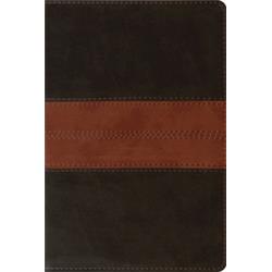 ESV Personal Reference Bible-Deep Brown & Tan Trail Design TruTone Book