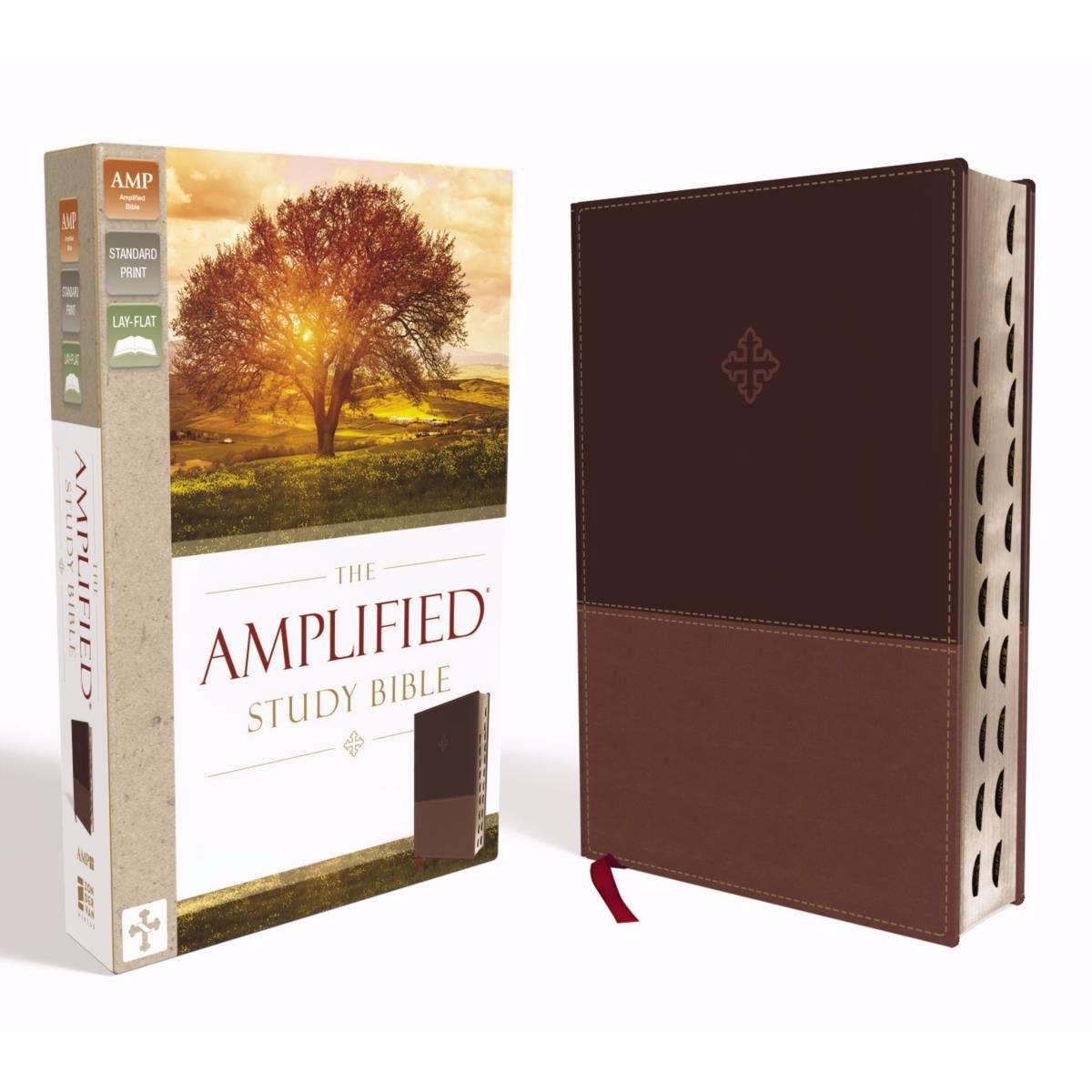 71842 Amplified Study Bible Revised-Brown Leathersoft Indexed