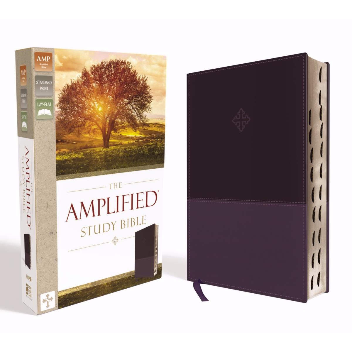 71915 Amplified Study Bible - Purple Leathersoft Indexed