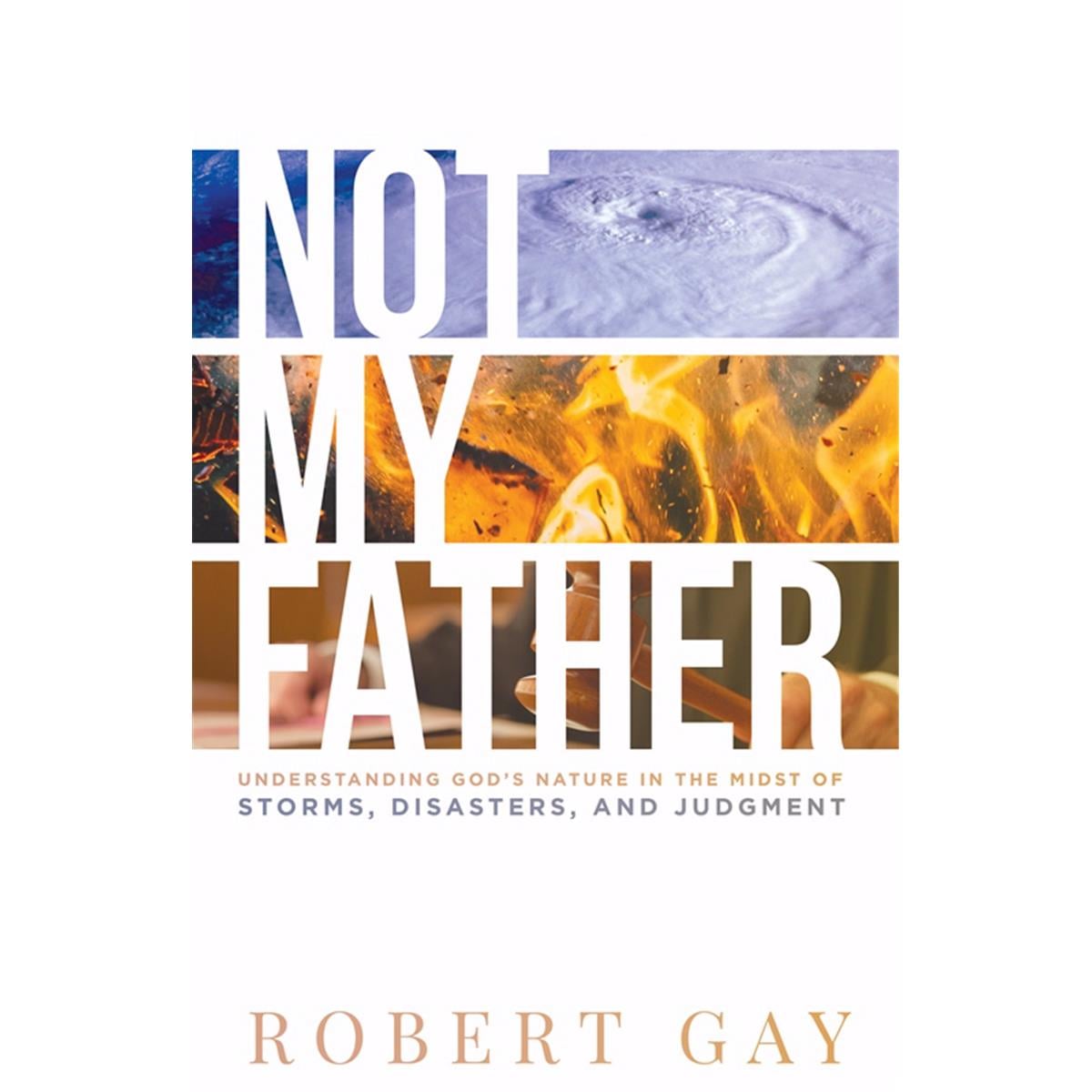 Not My Father by Robert Gay