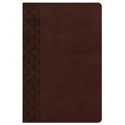 Picture of B & H Publishing 16016X CSB Study Bible for Women-Chocolate Leathertouch Indexed