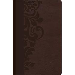 Picture of B & H Publishing 14144X Span-RVR 1960 Study Bible for Women&#44; Brown Leathertouch
