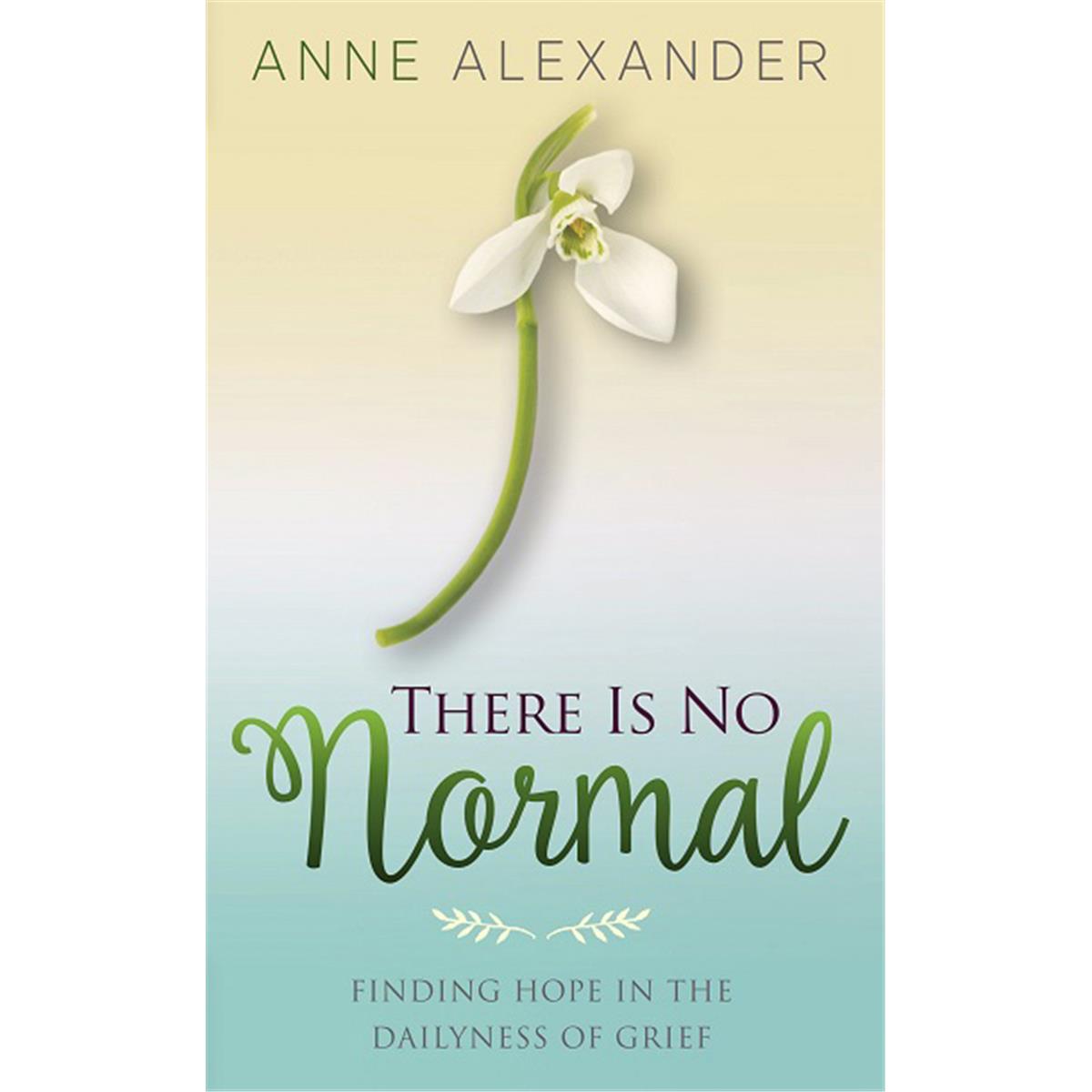 DustJacket Media 172112 There is No Normal