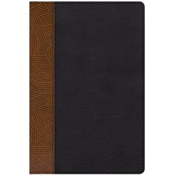 Picture of B & H Publishing 15948X CSB Rainbow Study Bible - Black & Tan Leather Touch Indexed
