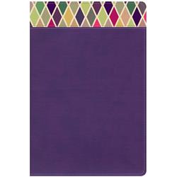 Picture of B & H Publishing 15951X CSB Rainbow Study Bible - Purple Leather Touch