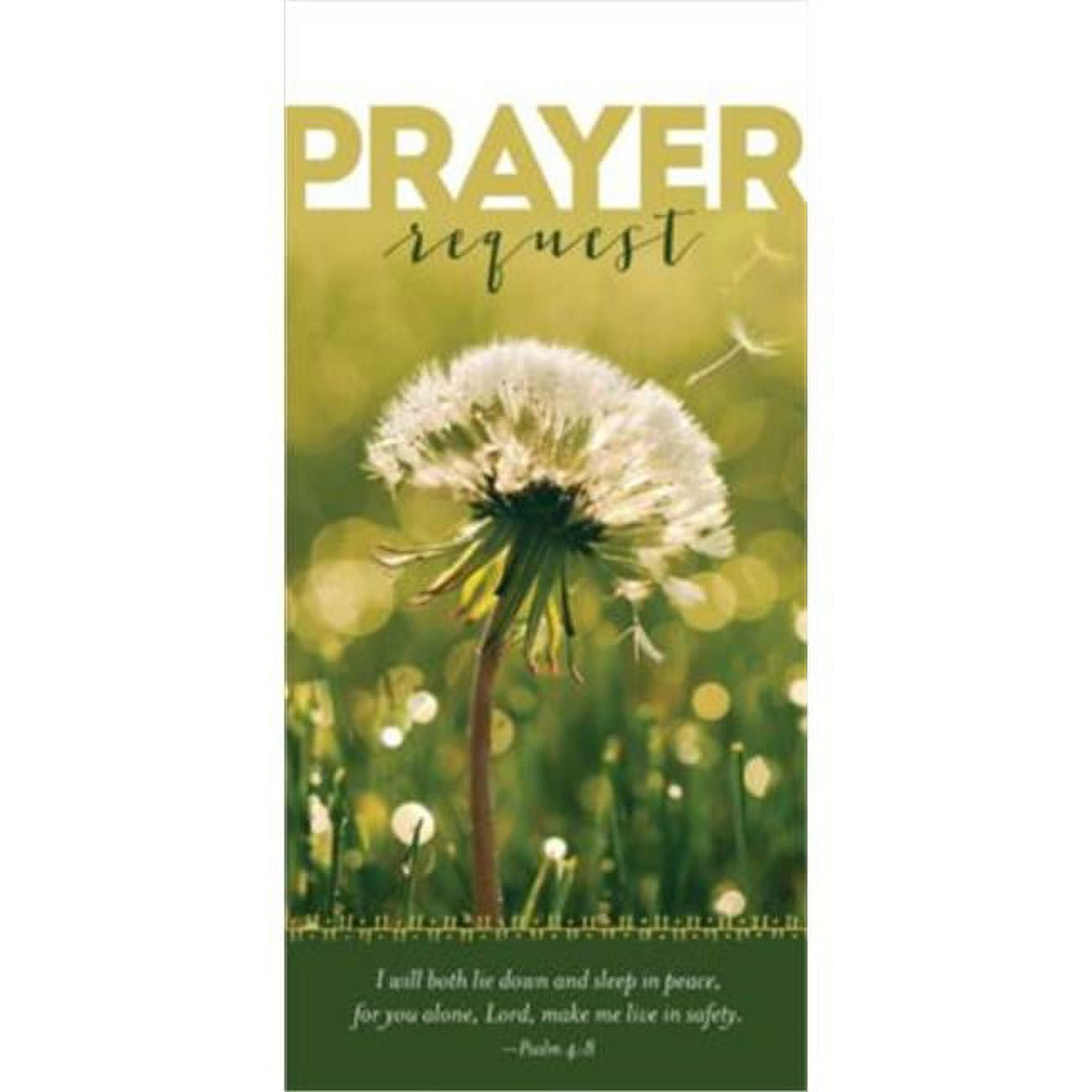 Picture of B & H Publishing 152917 Guest Card Safety Prayer Request - Pack of 50
