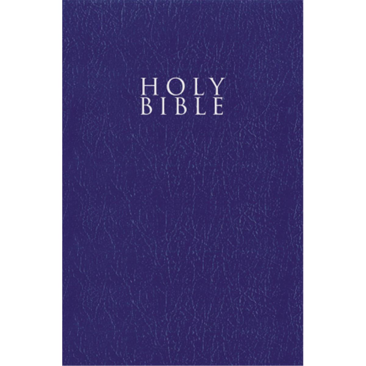 144096 Blue Leather Look NIV Gift & Award Bible