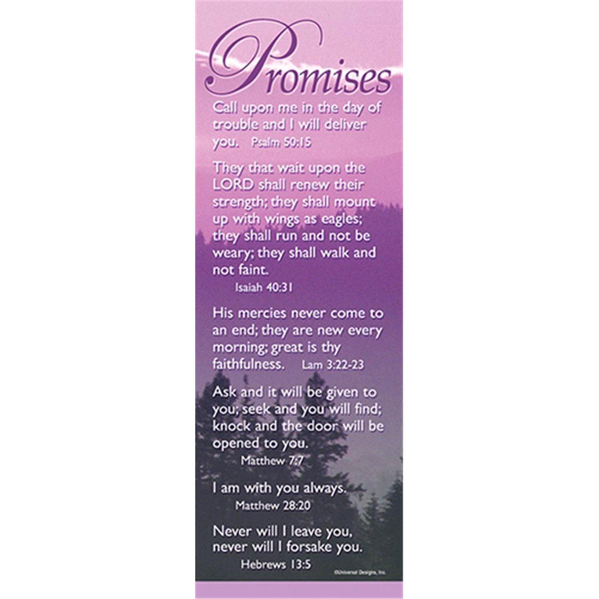 Picture of CB Gift 146666 Promises Bible Basics Bookmark - Pack of 10