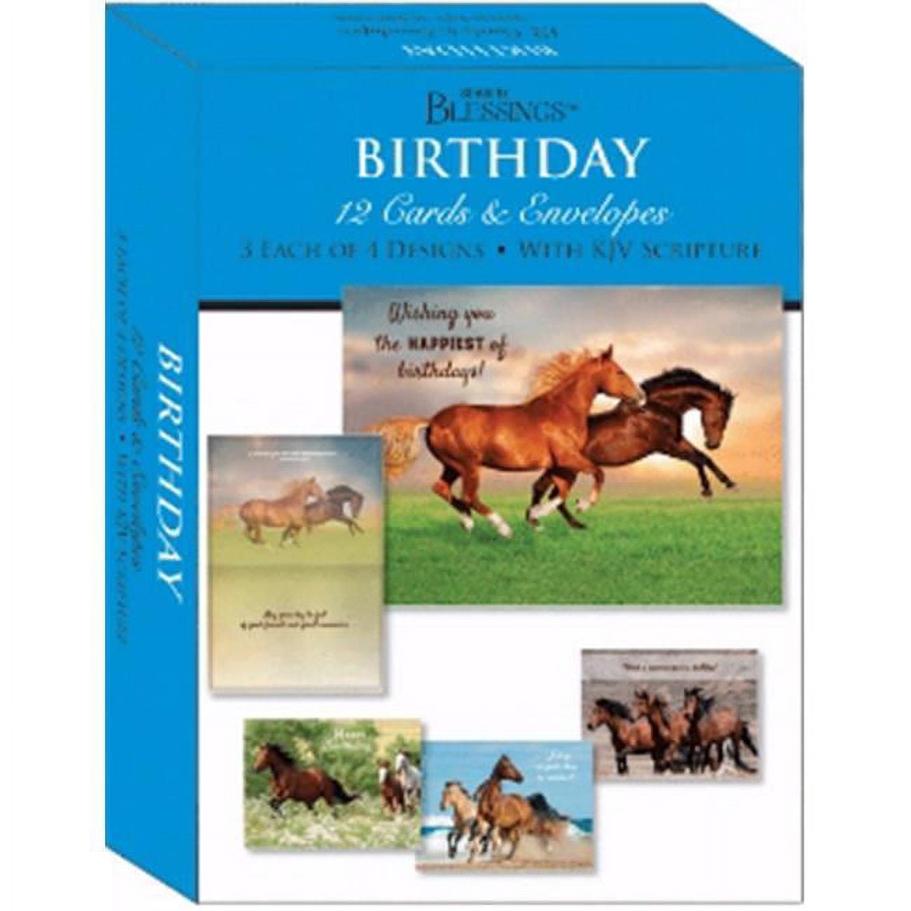 Crown Point Graphics 164477 Boxed Shared Blessings Wild Horses Birthday Card, Pack of 12