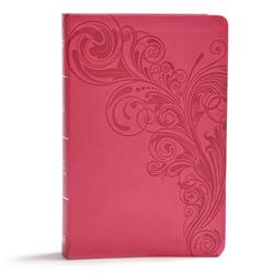 Picture of B & H Publishing 136450 KJV Giant Print Reference Bible&#44; Pink Leather Touch