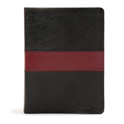 Picture of B & H Publishing 134378 KJV Apologetics Study Bible&#44; Black & Burgundy Leather Touch
