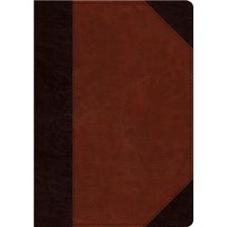ESV Large Print & Wide Margin Bible - Brown & Cordovan Portfolio Design Trutone
