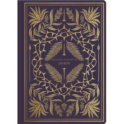 ESV Illuminated Scripture Journal John, Purple Softcover