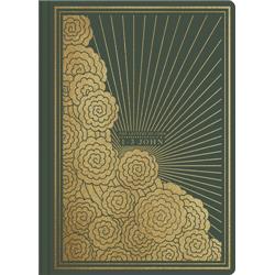 ESV Illuminated Scripture Journal 1-3 John, Green Softcover