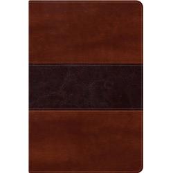 Picture of B & H Publishing 134427 Span-RVR 1960 Fisher of Men Bible&#44; Mahogany Leather Touch - Biblia Del Pescador