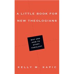 104173 A Little Book for New Theologians