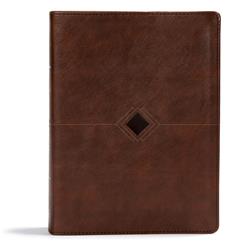 CSB Day by Day Chronological Bible, Brown Leather Touch