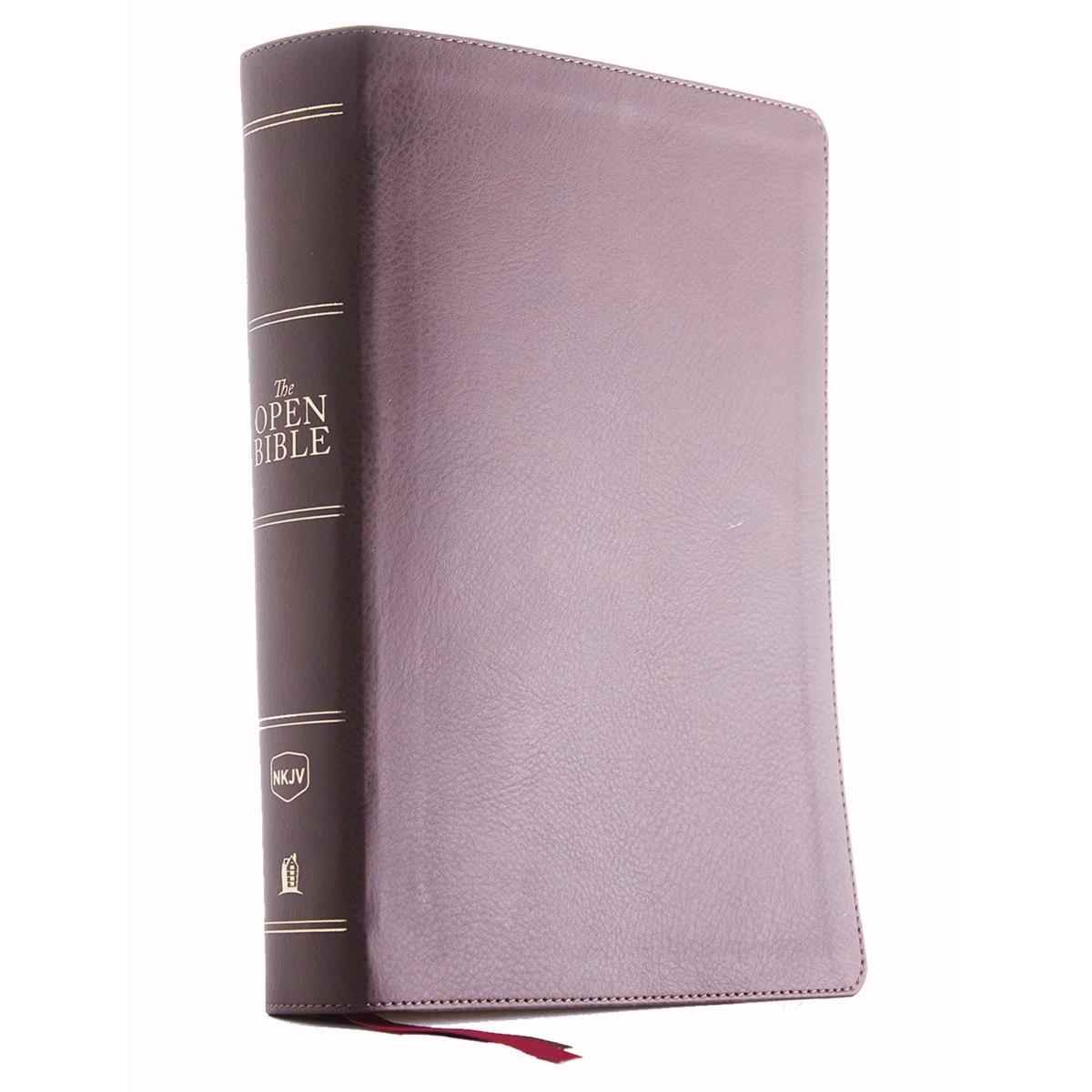 Nelson Bibles 171249