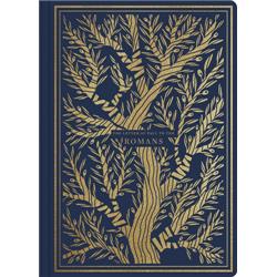 ESV Illuminated Scripture Journal Romans, Blue Softcover