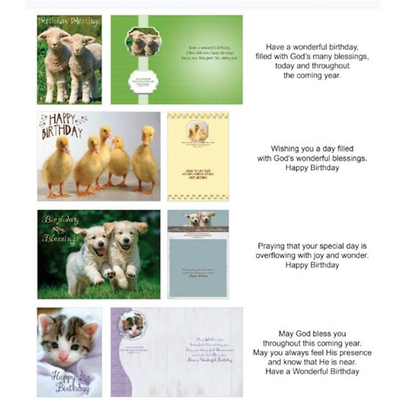 Shared Blessings Birthday Fur & Feathers Boxed Card - 12 per Box