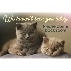 Picture of B&H Publishing 24420X We Have Not Seen You Lately Postcard - Pack of 25