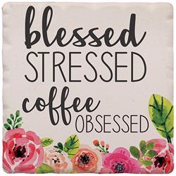 Picture of Carson Home Accents 26152X 2.25 in. Blessed Stressed Magnet