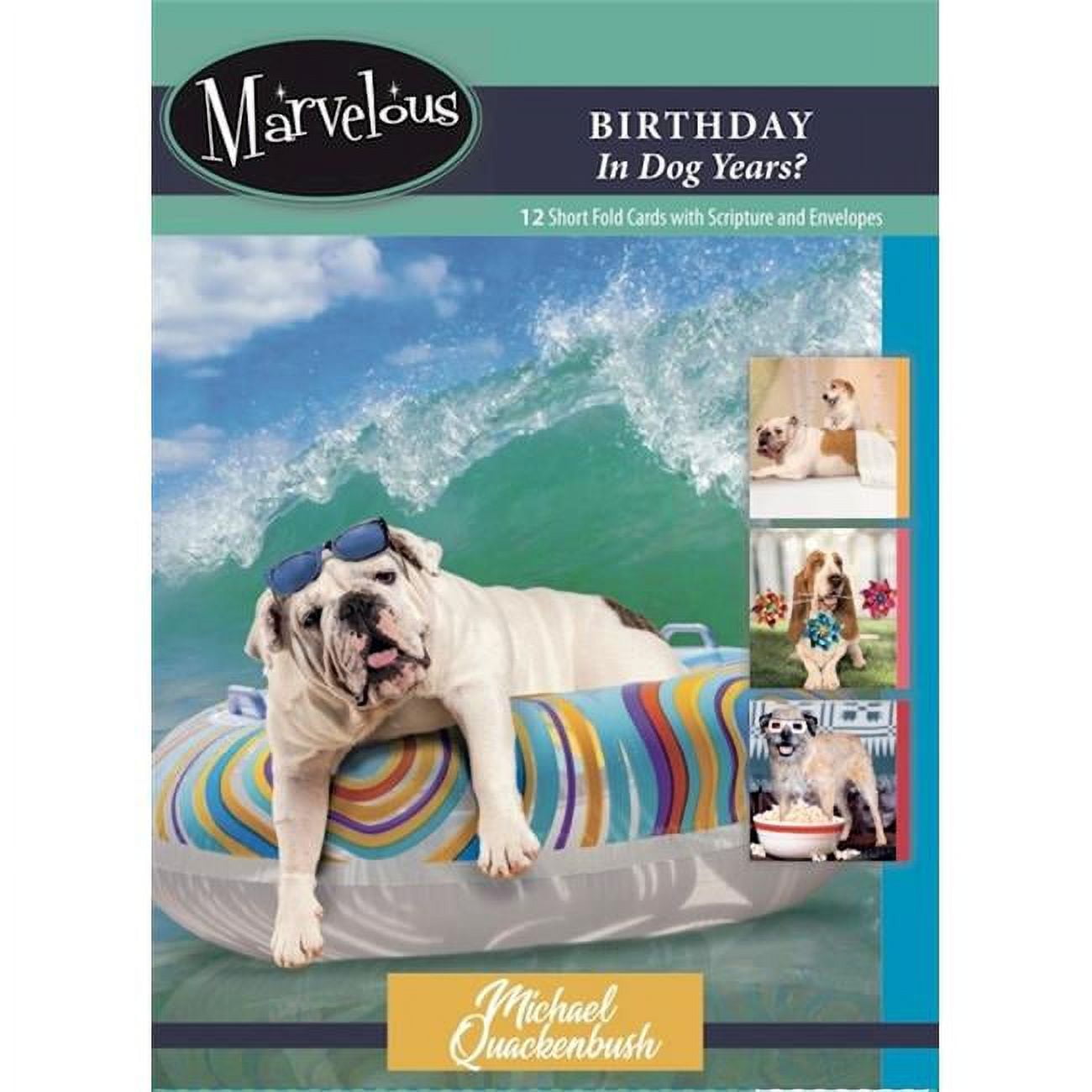 Picture of Artbeat of America 264406 Card-Boxed-Birthday In Dog Years No.177 - Box of 12