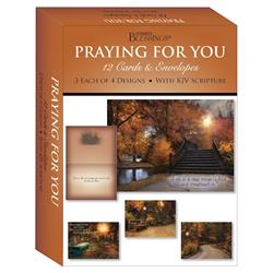 Picture of Crown Point Graphics 272442 Shared Blessings-Praying for You-Tranquil Paths Card-Boxed - Box of 12