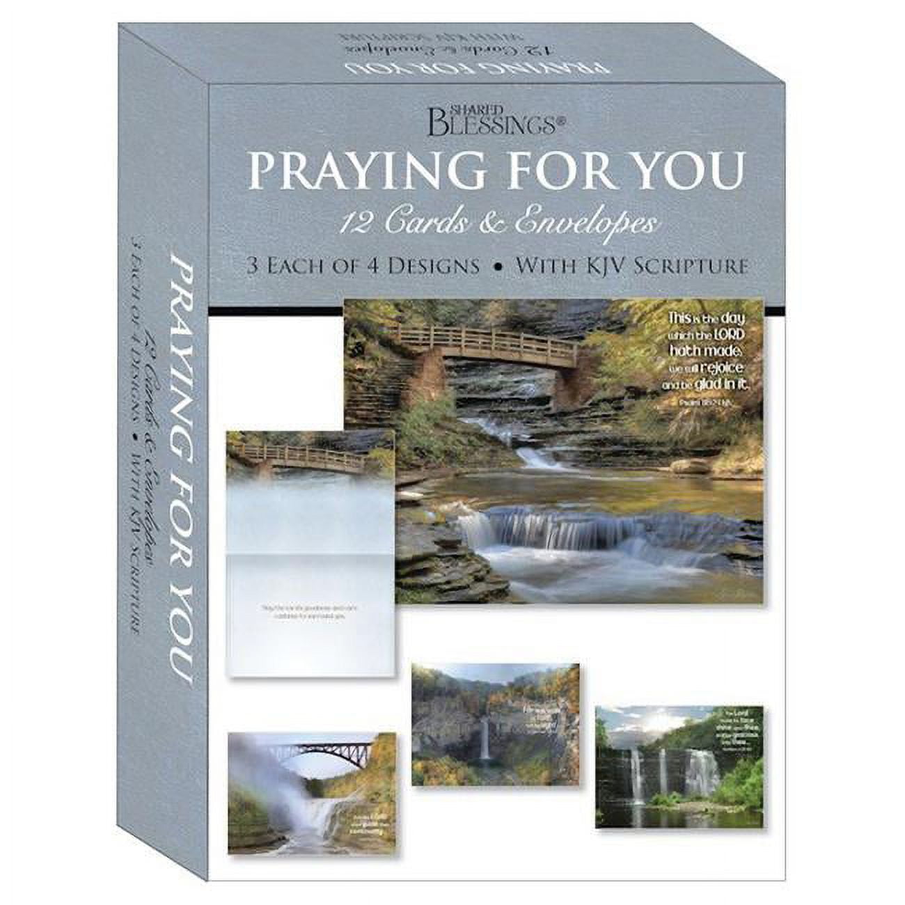 Picture of Crown Point Graphics 272443 Shared Blessings-Praying for You-Waterfalls Card-Boxed - Box of 12
